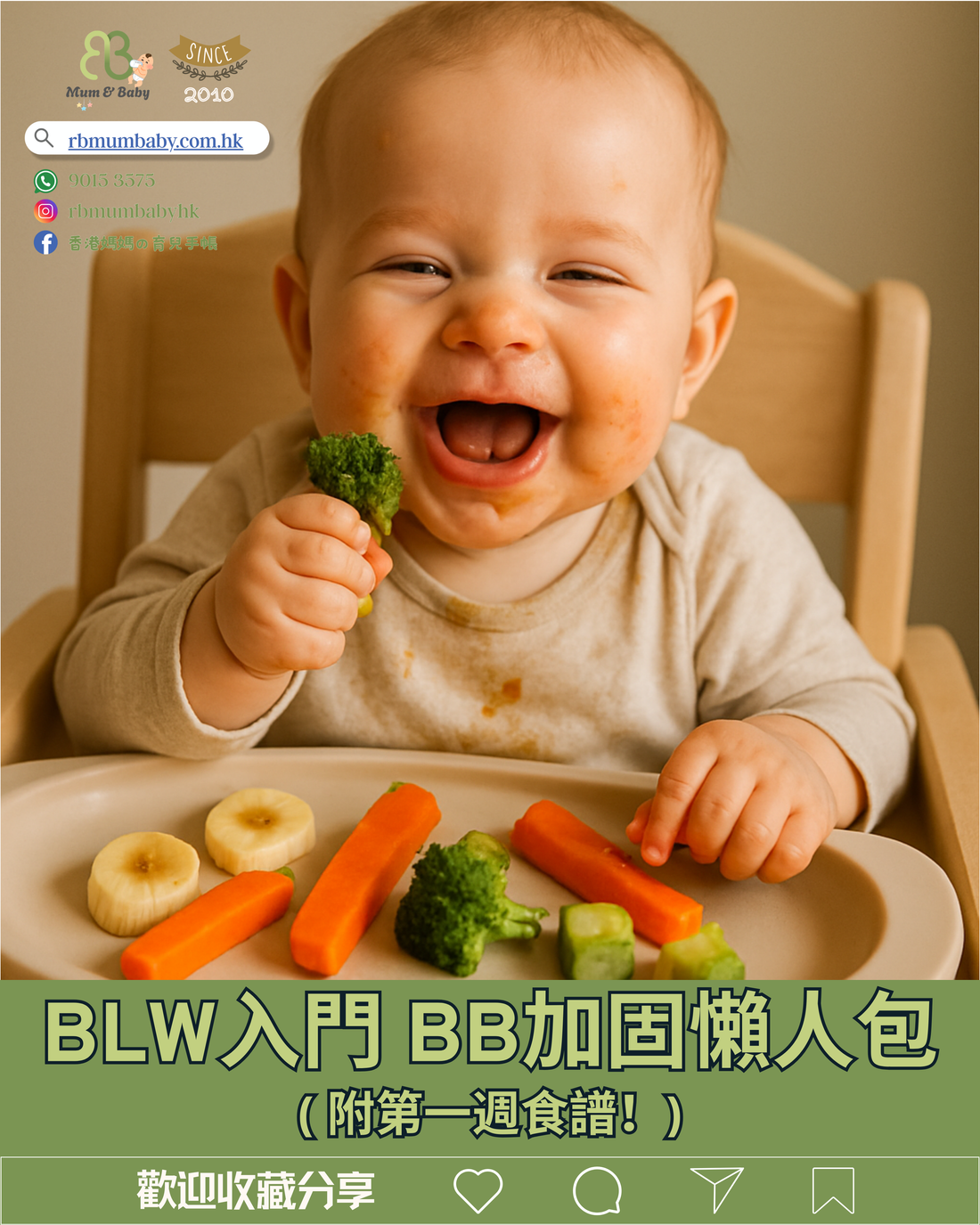 BLW入門:6個月寶寶加固懶人包 (附第一週食譜)
