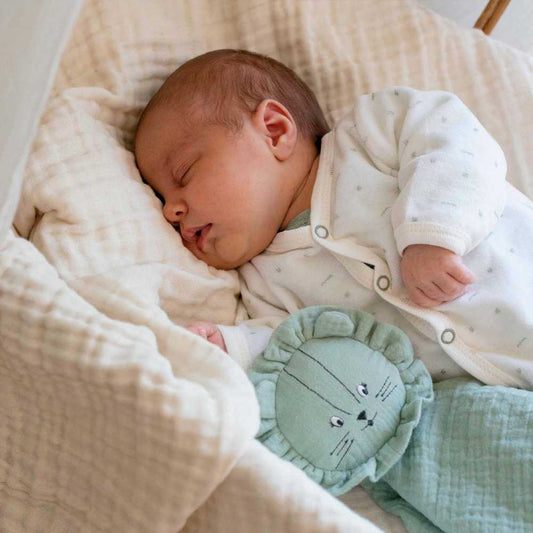法國 Trois Kilos Sept 初生嬰兒 6 件套裝禮盒 (鼠尾草綠系列) 🎁Baby Shower 送禮暖心首選！