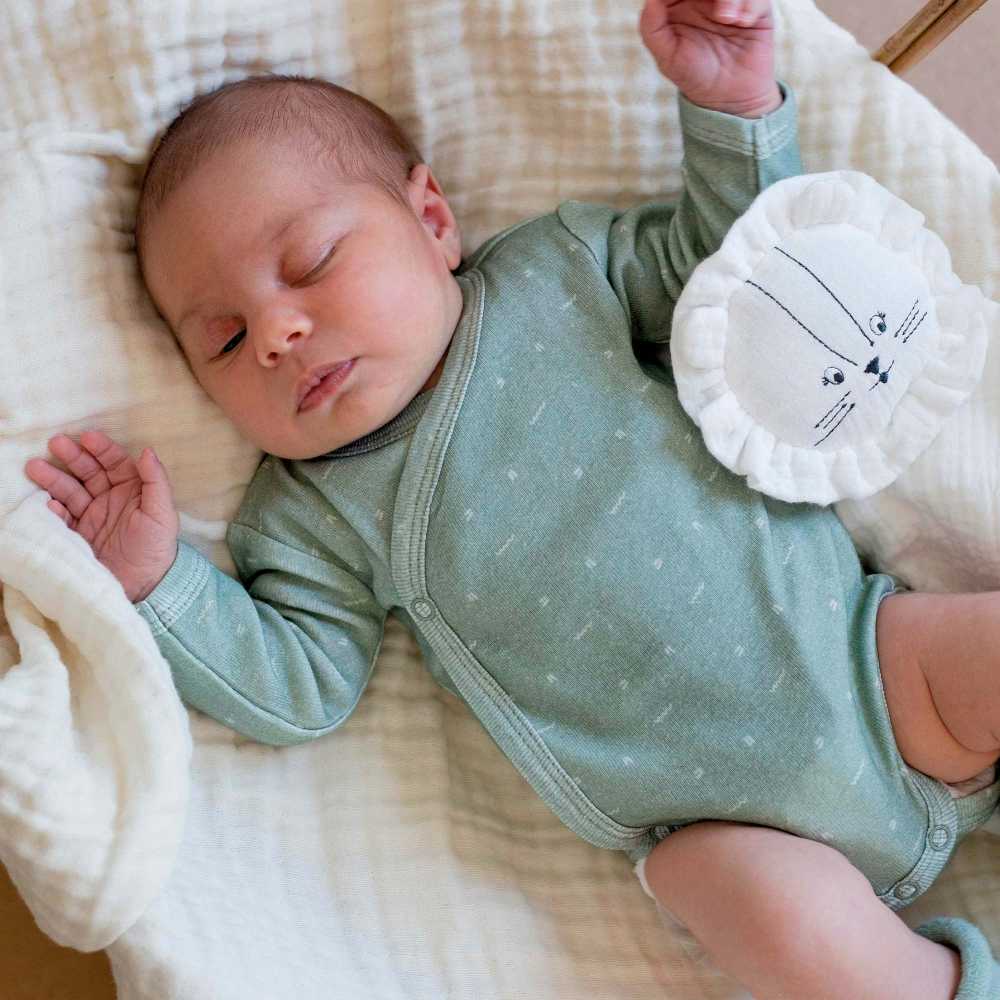 法國 Trois Kilos Sept 初生嬰兒 6 件套裝禮盒 (鼠尾草綠系列) 🎁Baby Shower 送禮暖心首選！