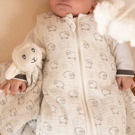 法國 Trois Kilos Sept 初生嬰兒睡袋 (0~6 個月 / 50~65cm) 🎁Baby Shower 送禮暖心首選！